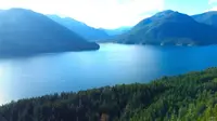 View 45