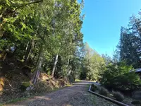 View 54