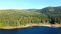 View 31