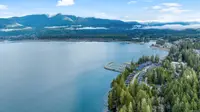 View 50