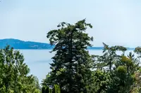 View 31