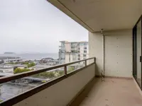 View 19