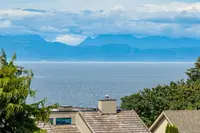 View 79