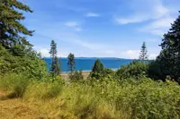 View 56