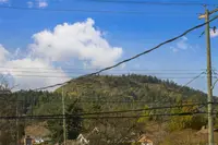 View 53