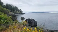 View 6