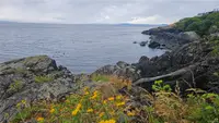 View 5