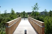 View 49
