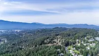 View 62