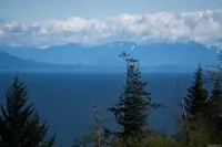 View 52