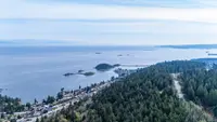 View 57