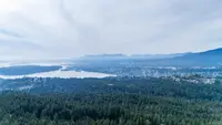 View 61