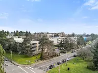 View 19