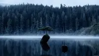 View 40