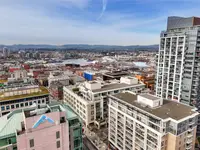 View 59