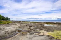 View 34