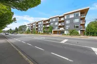 View 23