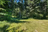View 86