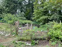View 10