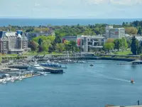 View 50