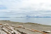 View 48