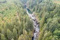 View 73