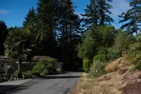 View 29