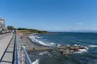 View 32