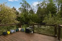 View 39
