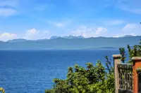 View 42