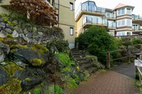 View 66