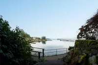 View 65