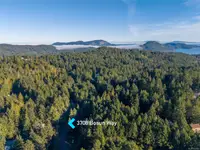 View 50