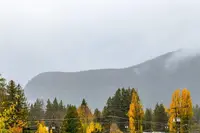 View 37
