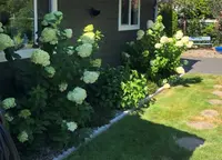 View 26