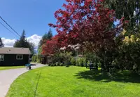 View 28
