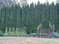 View 39