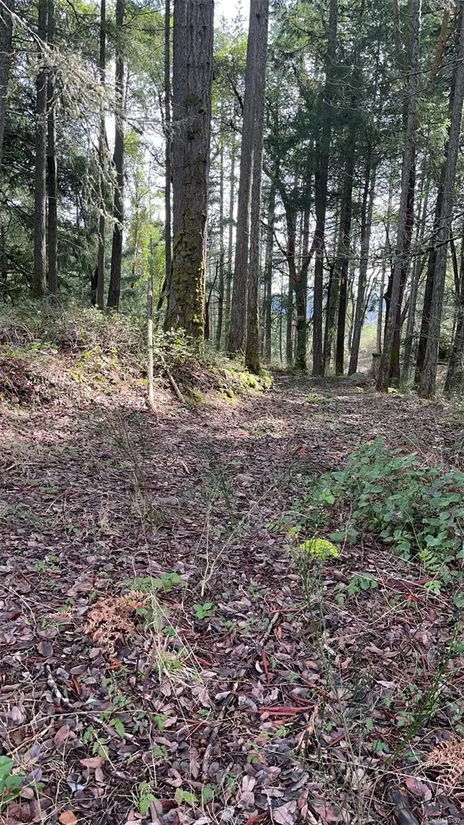 Lot A Ebadora Lane, Malahat BC V0R 2L0