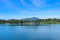 View 42