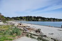 View 38