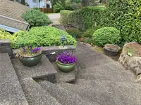 View 62