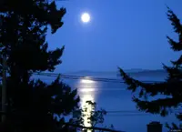 View 53