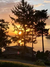 View 59