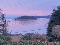 View 58