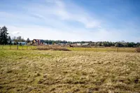 View 98
