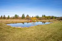View 96