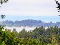 View 21
