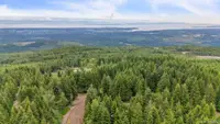View 43