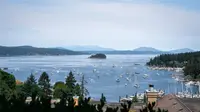 View 29