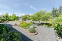 View 50